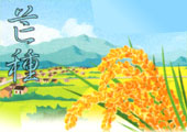 芒種