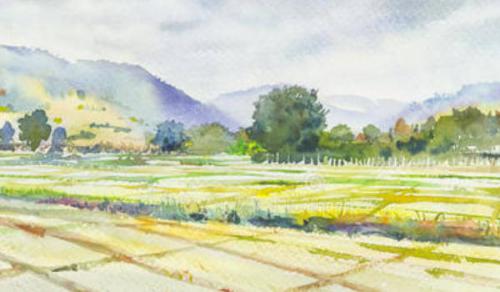86年屬虎的本命年戴什麼好 適合的吉祥物福氣滿滿