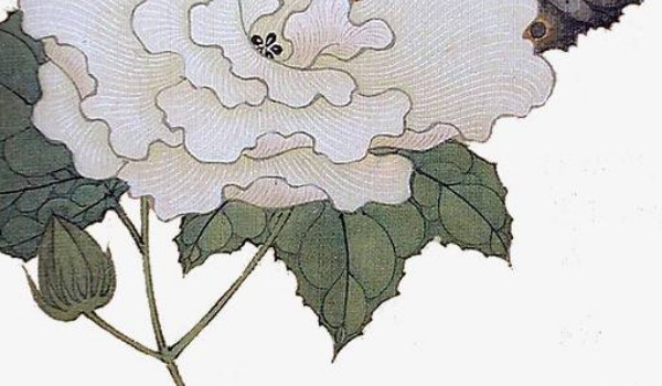 2024年2月19日雨水是黃道吉日嗎 正月初十時辰吉凶