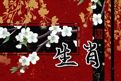 生肖男鼠和生肖女狗配嗎 屬鼠男的性格