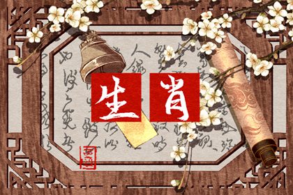 兔子配什麼生肖動物 和屬羊的人最配