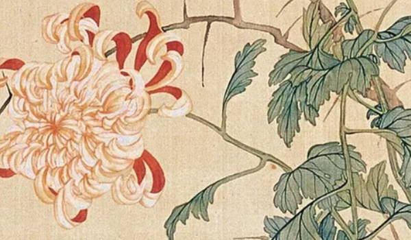 癸卯2023年農曆八月十七出生男兔寶寶命運怎樣,屬兔女孩五行缺什麼