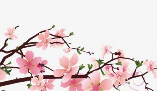 辦公室放什麼花最好 紅色花卉功效多