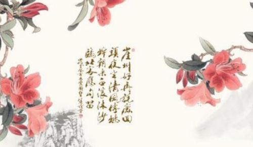 客廳一進門對面擺什麼 綠色植物吉祥物品