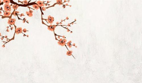 家中財位放什麼最招財 吉祥招財植物最合適不過