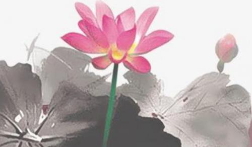 辦公室放什麼植物 四季常青招財進寶的綠植