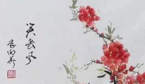 辦公室放什麼綠植比較好 聚財旺運常綠植物
