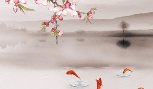 適合放在財位的綠植 寓意吉祥且吉利