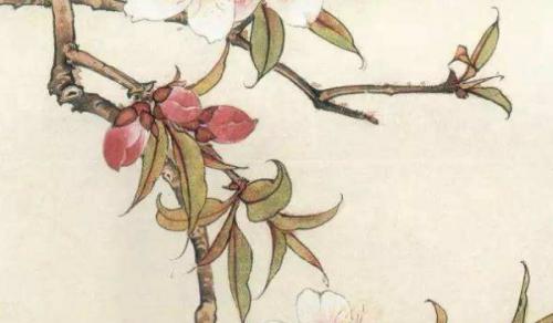 辦公室綠植有哪些 發財樹文字都是吉祥綠植