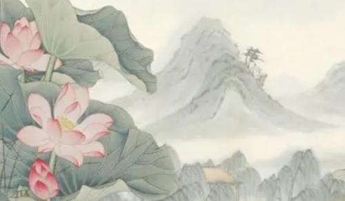 財位擺放哪些植物旺財 招財進寶生機茂盛