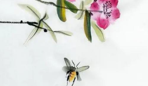 財位適合擺放什麼擺件 常綠植物可以聚財