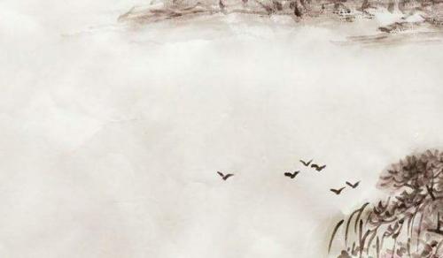 適合放在財位的綠植 吉祥適宜的綠植皆可