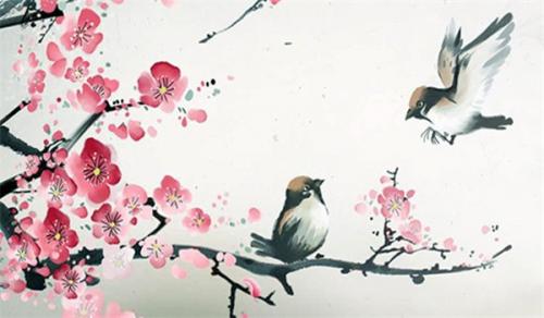 庭院種什麼樹風水好又旺財子 桂石羅旺財旺運